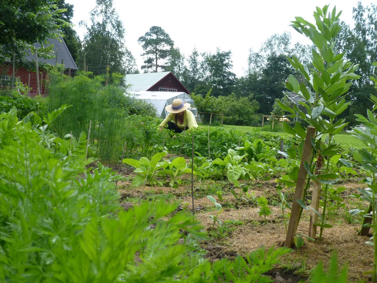 ostra LoaGroena Anaes住宿加早餐旅馆 外观 照片